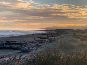 Haast Beach Motel